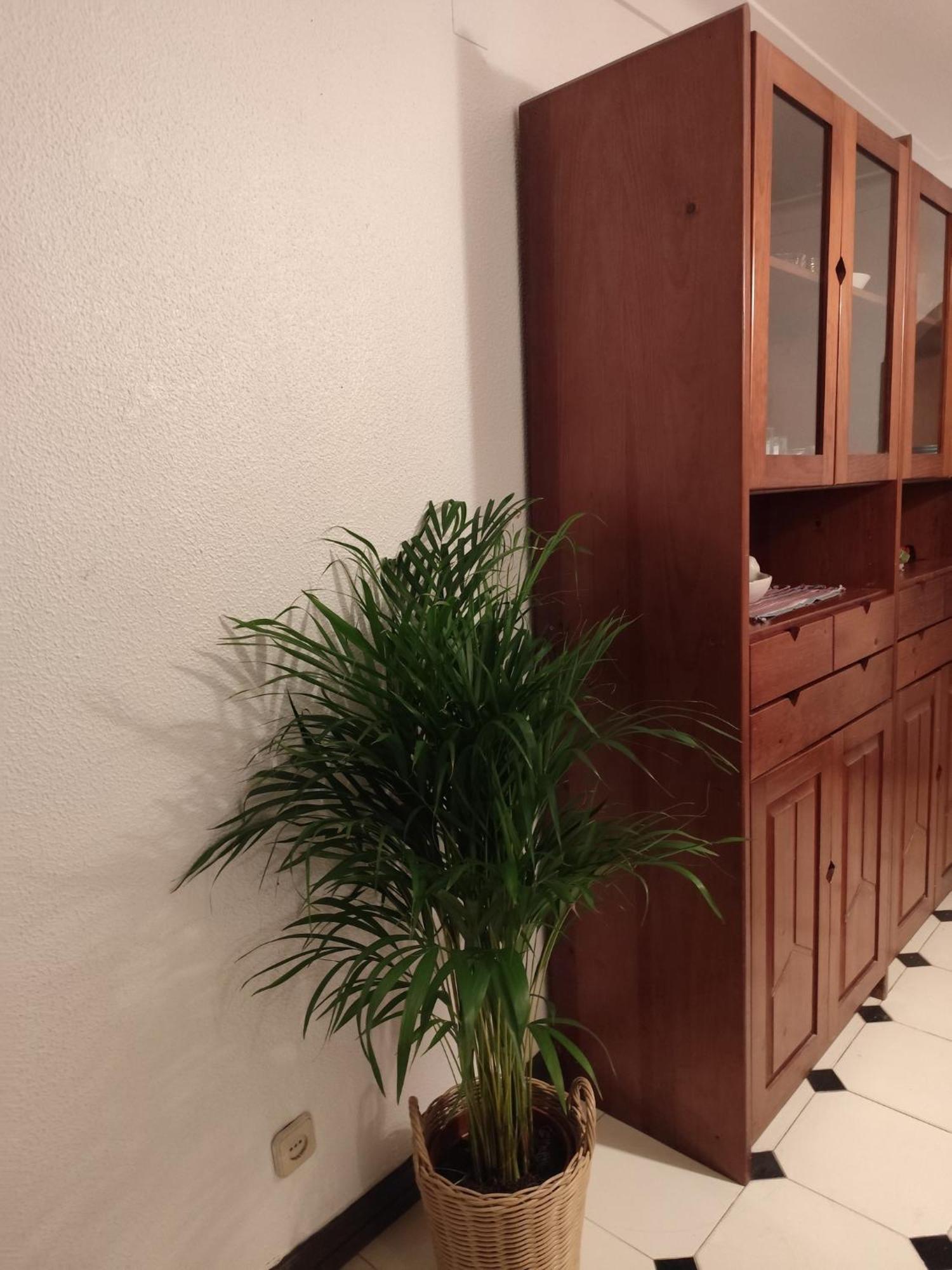 Casa Das Flores Albufeira Eksteriør billede